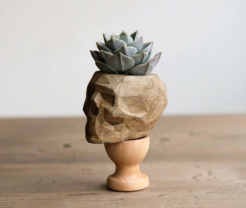 質樸的水泥、簡單的造型，生活中的療癒良伴