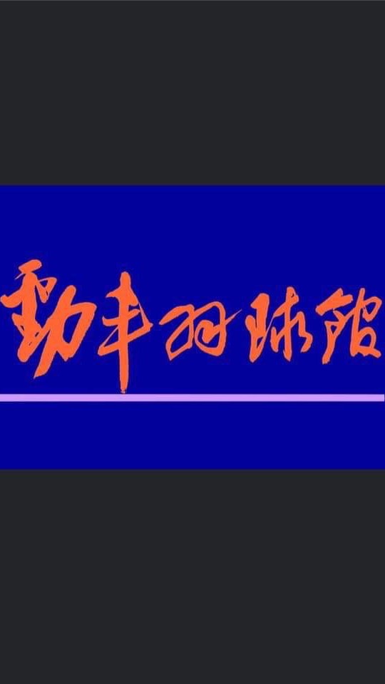 勁丰羽球館—教學營