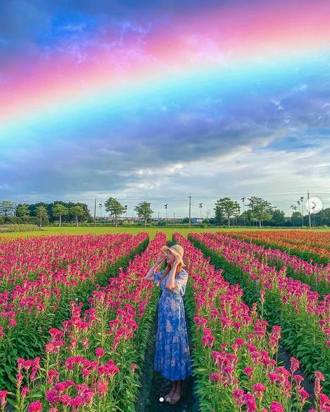 圖片來源 / IG @quanyi__1997