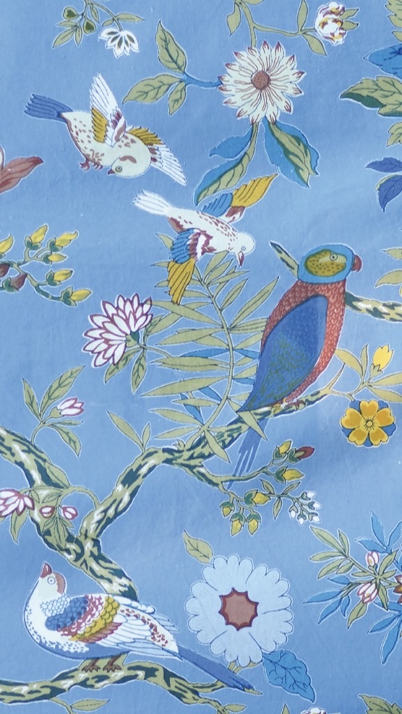 かみしほろヨガ🧘✨