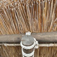 芸北の茅葺き文化を未来へつなぐPJ