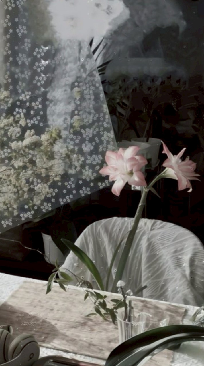 モノクロな日常も君の色彩で