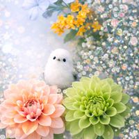 全国の頑張ってるママ！！