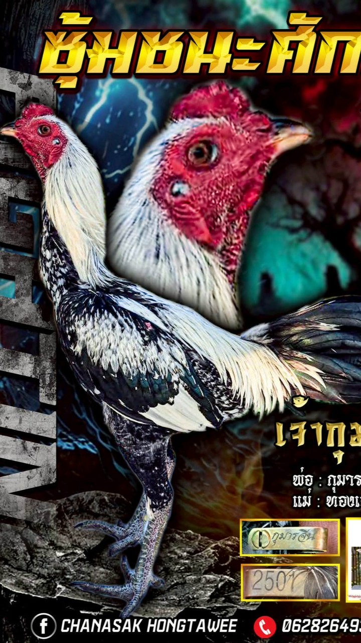 กุมารเอก ( รุ่งสุริโยฟาร์ม168)