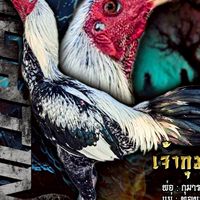 กุมารเอก ( รุ่งสุริโยฟาร์ม168)