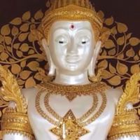 วัตถุมงคลหลวงตาม้า สาขาลำปาง