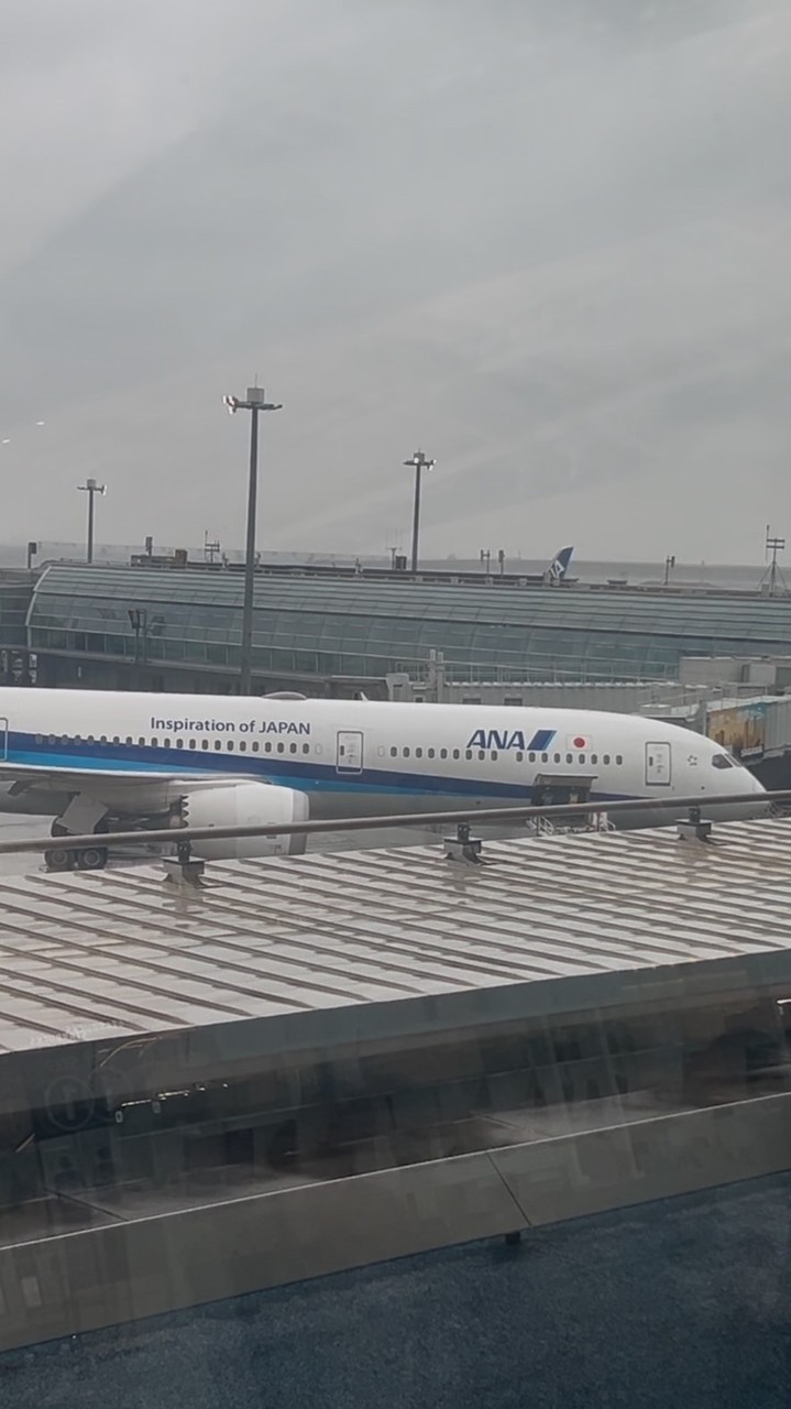 airline Lisa のメンバーシップチャット