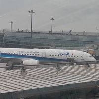 airline Lisa のメンバーシップチャット