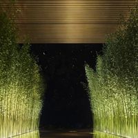 新北建案專業分享區（板橋、中和、土城、新莊）