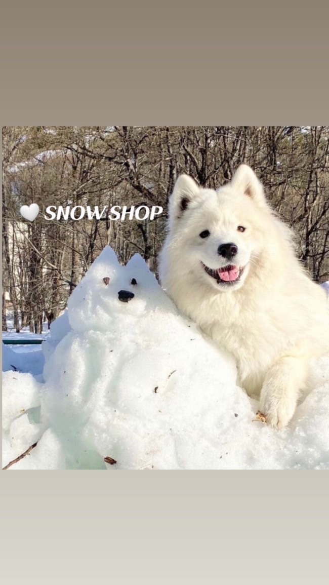 SNOW SHOP