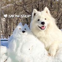 SNOW SHOP