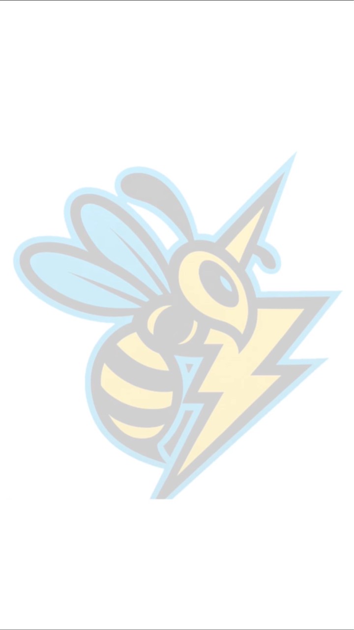 ゆずかと愉快な仲間たち🐝⚡️