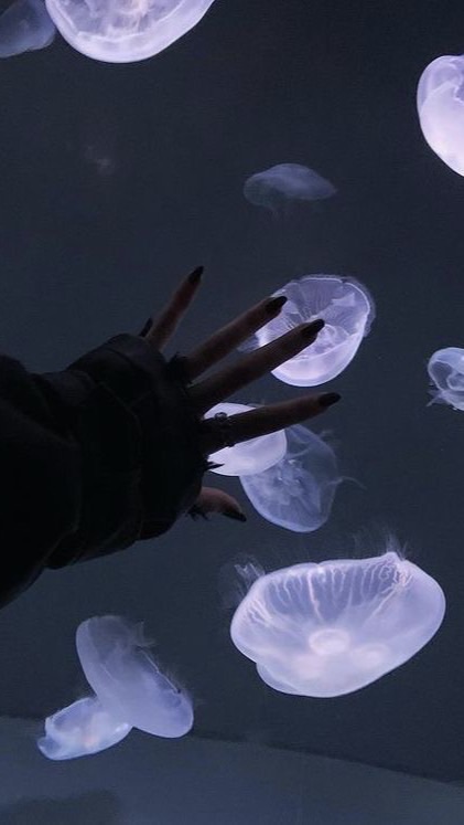 誰かはなそーよ