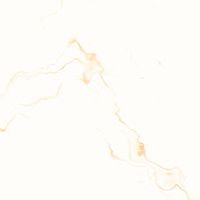 存在 X 金上達企劃