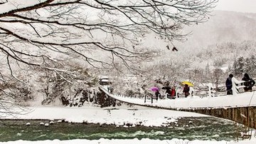 【日本世界遺產之五】【岐阜-飛驒景點】日本三大茅草屋.白川鄉合掌村.大雪紛飛中的銀色世界遺產