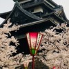 島根大学能楽部喜多会オンライン説明会
