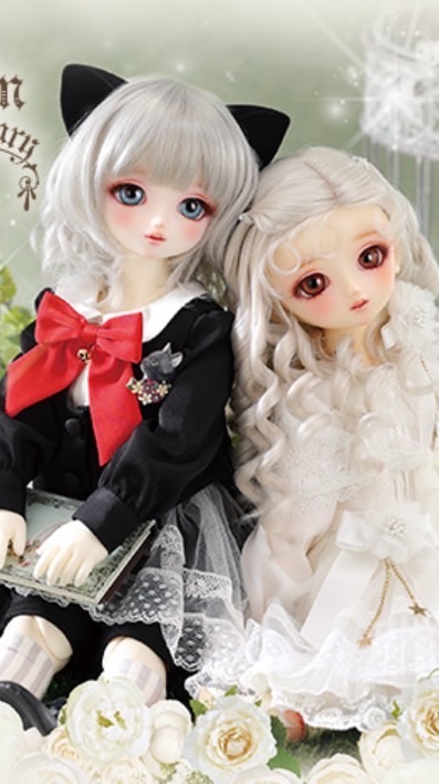 VOLKS SD DD 交流群