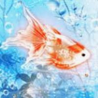 雑談&たまにカフェ☕✧ 東海シングル40代50代