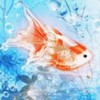 雑談&たまにカフェ☕✧ 東海シングル40代50代