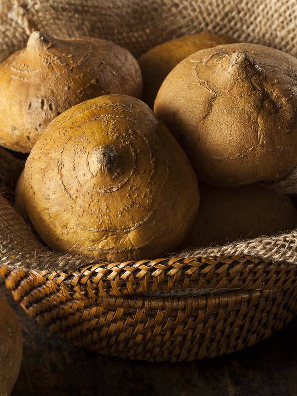 Mengenal 15 Jenis Umbi Umbian Yang Ada Di Indonesia Fimela Line Today