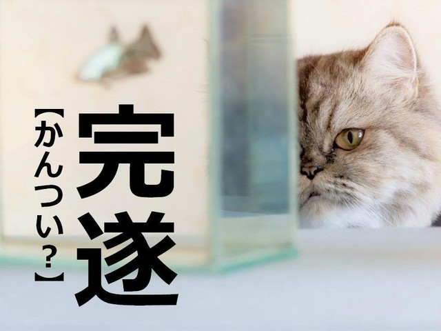 完遂 と かんつい はどう違いますか？ – 完遂 かんつい – 完遂の読み方！「かんすい」と「かんつい」正しいのは？ – KAHQ