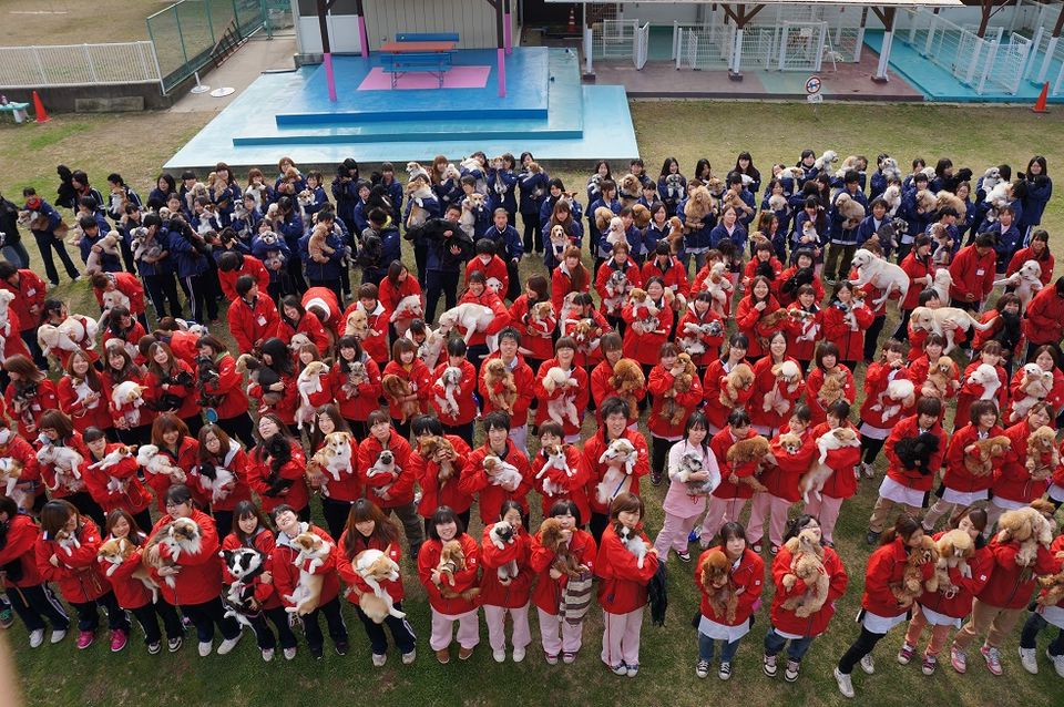 Recent Media つくば国際ペット専門学校