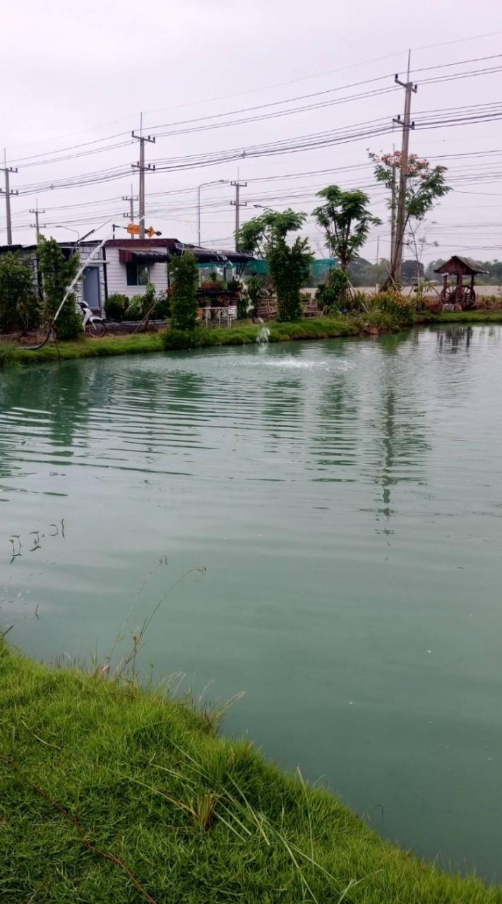 สามพี่น้องฟิชชิ่ง บังเจคลอง14