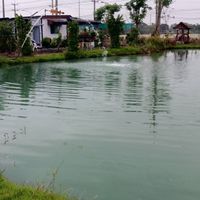 สามพี่น้องฟิชชิ่ง บังเจคลอง14