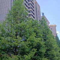 新橫濱 - 大板電視牆 討論群