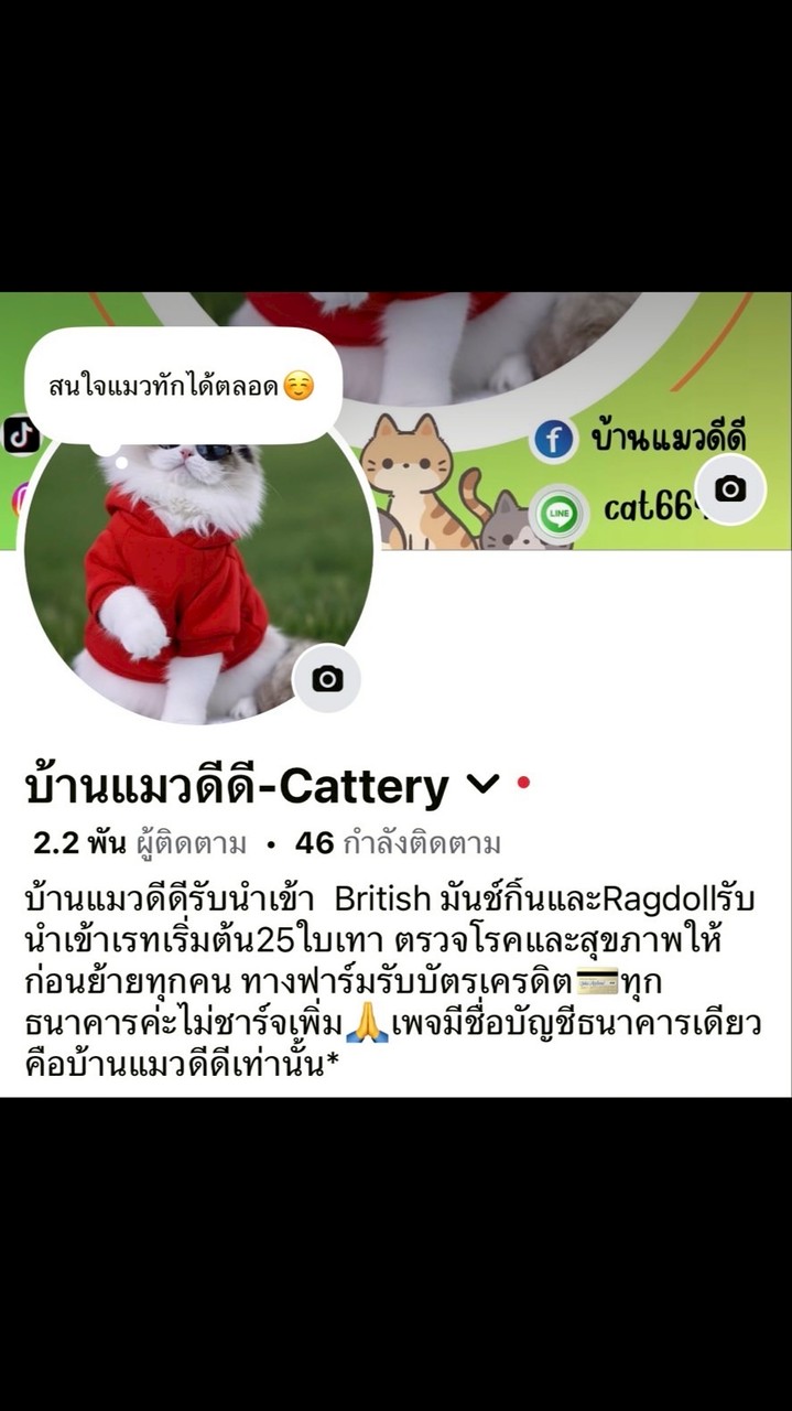 บ้านแมวดีดี -Cattery