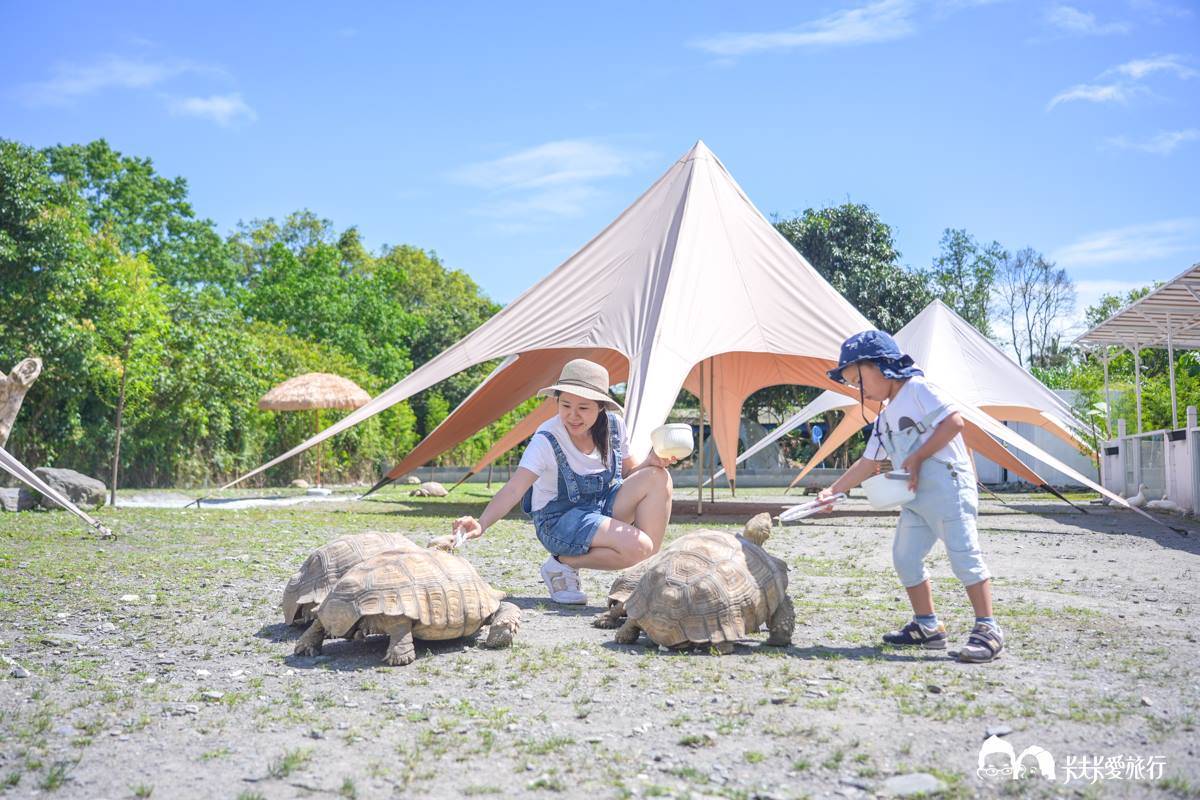 最低50元玩整天！2023新開幕６家「親子農場」：近距離餵水豚、１日小小蔥農