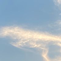 中年層のお絵かきぐる