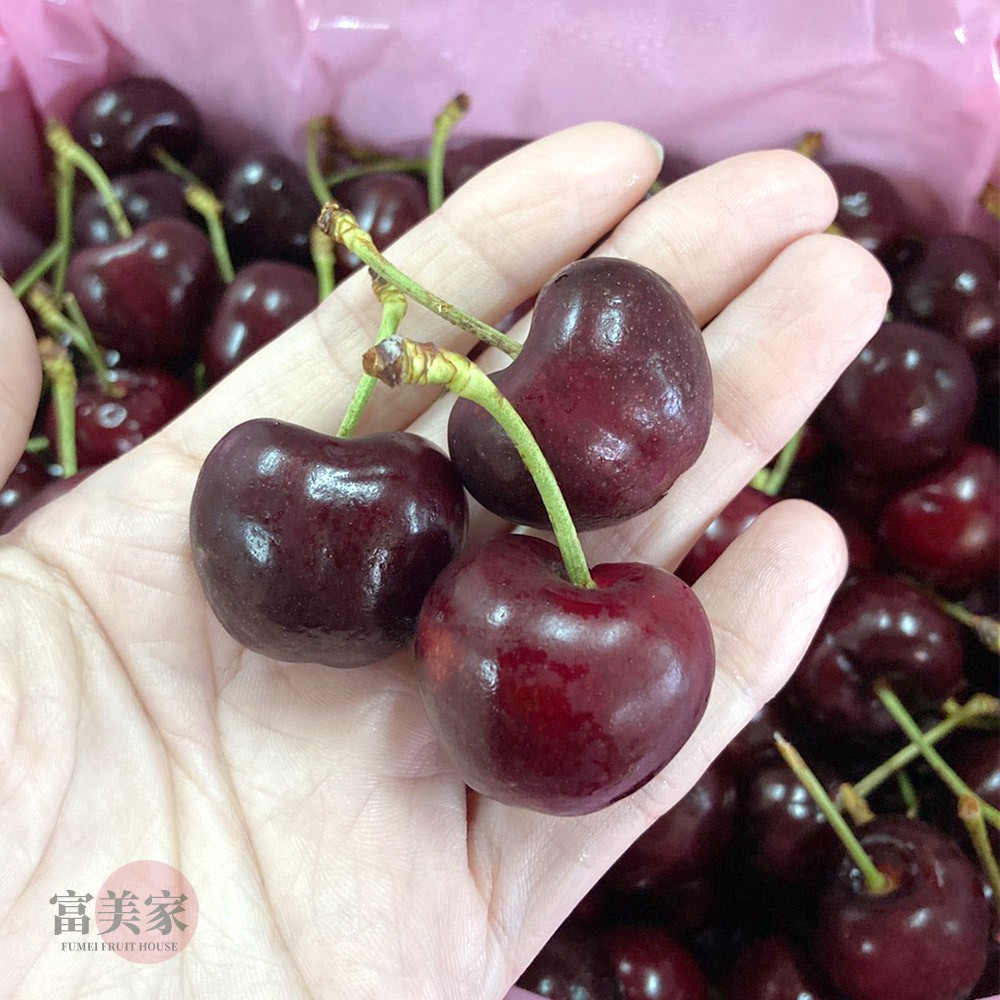 ●下單1-3個工作天寄出 ●智利櫻桃冬季必吃紅寶石●酸酸甜甜風味濃郁●28mm約9.5-10R●天然產品難免會有「大小顆不同」、「顏色不同」「表面有凹痕」「落梗」等情況。●商品規格內容物/規格：1kg