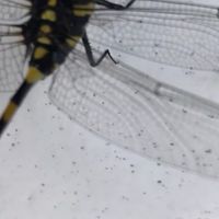 ผลิต ซื้อ ขาย