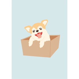 ひょっこりチワワ