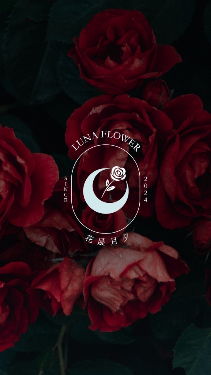花晨月夕 Luna Flower｜永生花·乾燥花店