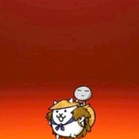 にゃんこ好きの集い