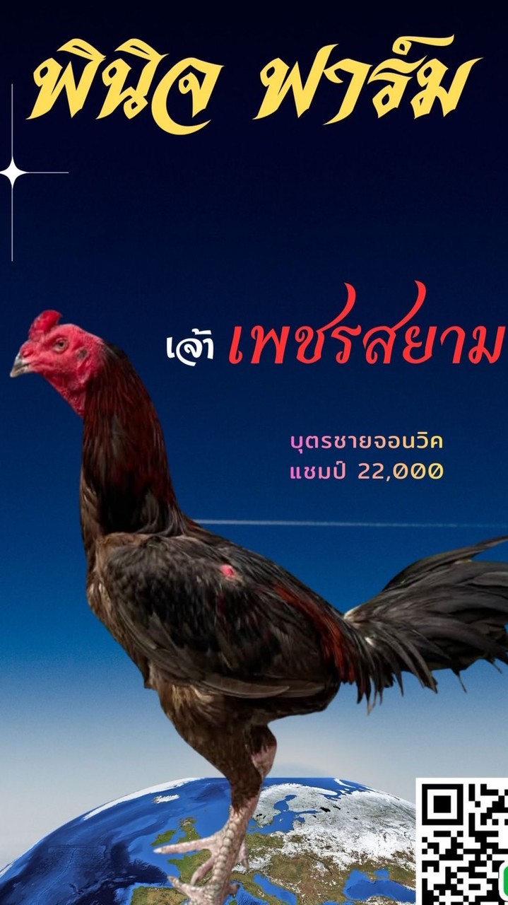 พินิจ ฟาร์ม