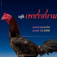 พินิจ ฟาร์ม