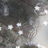 お前に手紙を贈らせろ！！*全緩ハント