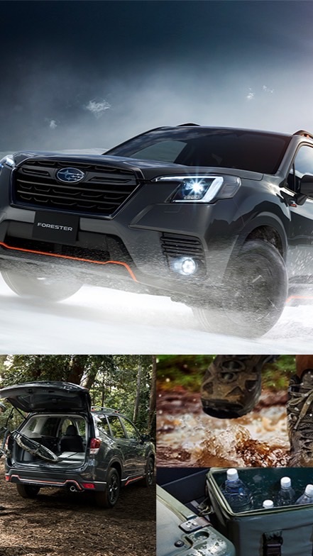 S-Forester(T.M.H)5.5