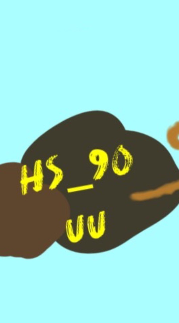 HS國外連線代購