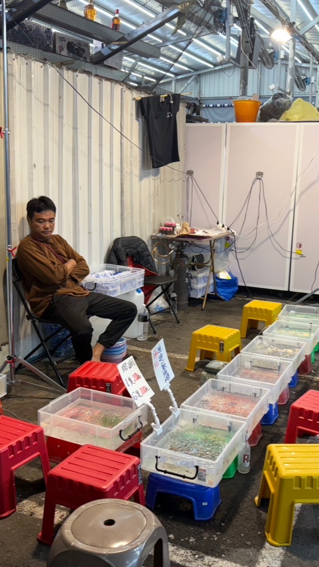 宗哥撈魚擺攤地點