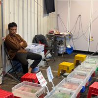 宗哥撈魚擺攤地點