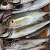 釣りDE ボランティア