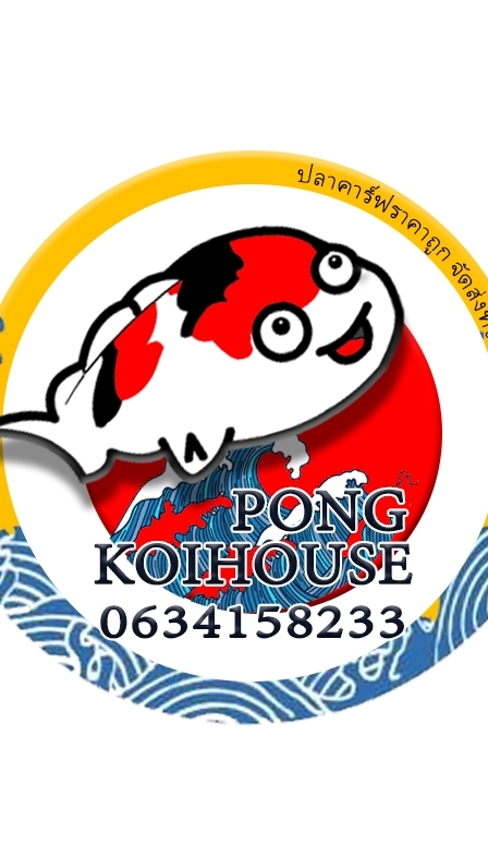 PONGKOIHOUSE