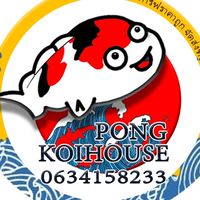 PONGKOIHOUSE