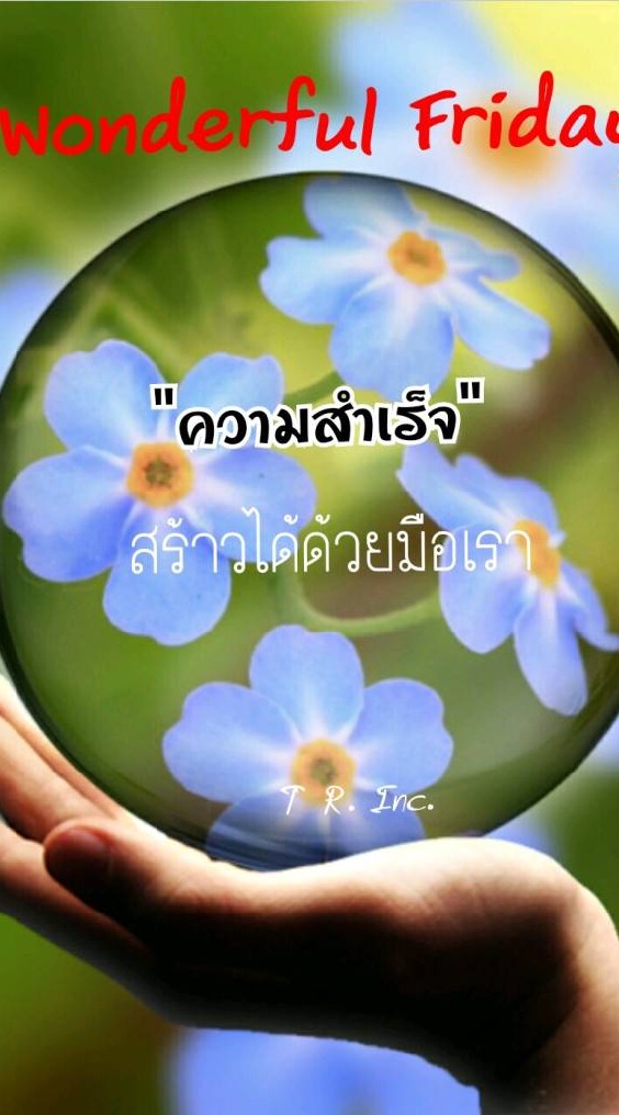 แจ้งข่าว​ ริชโกล์ด​