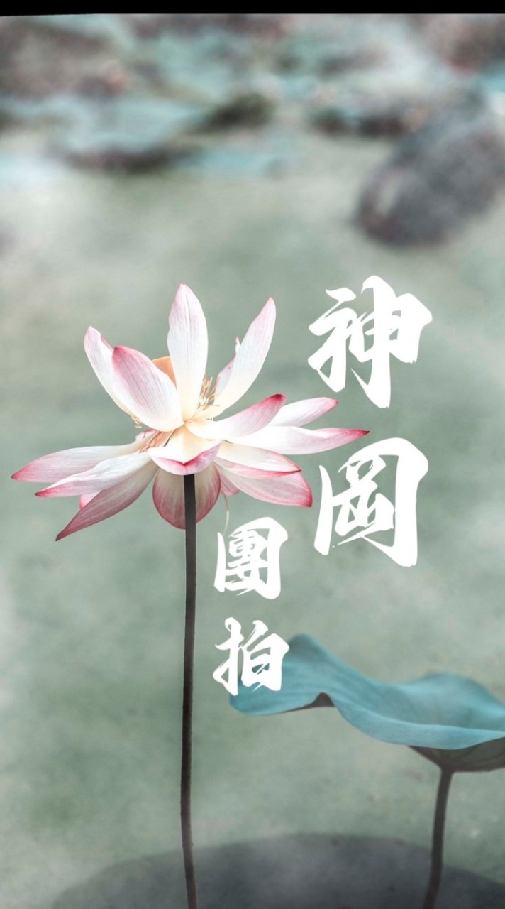神岡週五下午+晚上道家團拍社群