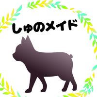 オプチャ🐝しゅのメイド公式🧵